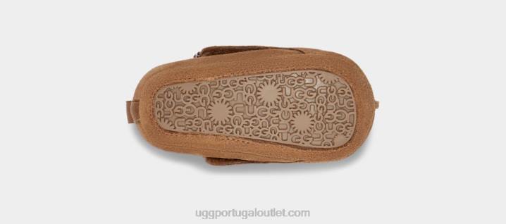 castanha tasman UGG 20TJ2022 bebê
