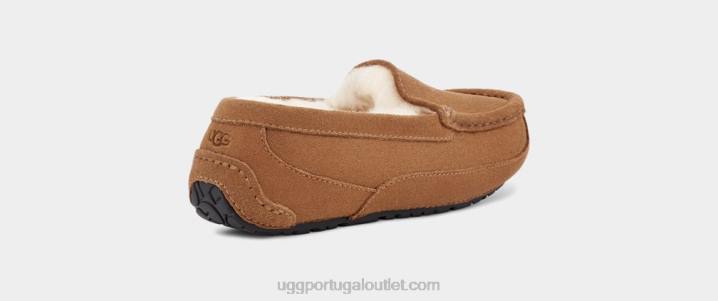 camurça castanha ascot UGG 20TJ2325 crianças