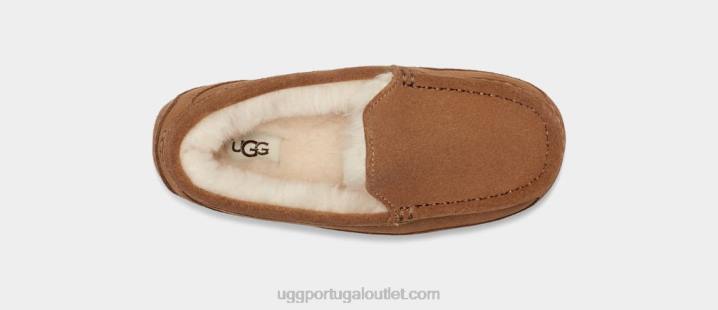 camurça castanha ascot UGG 20TJ2325 crianças