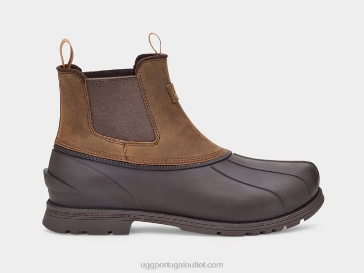 castanha gatson chelsea UGG 20TJ1520 homens
