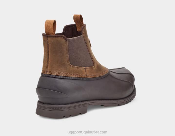 castanha gatson chelsea UGG 20TJ1520 homens
