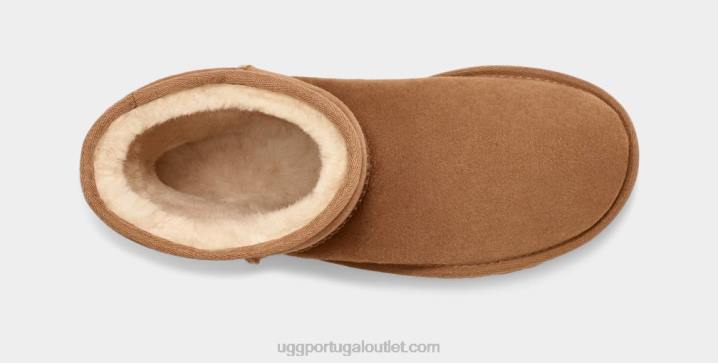 castanha short clássico UGG 20TJ1515 homens