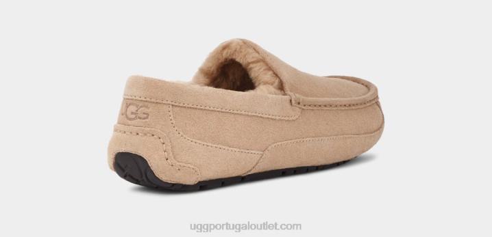 areia chinelo ascot UGG 20TJ1423 homens