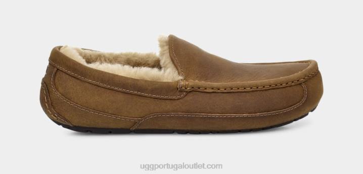 bronzeado couro ascot fosco UGG 20TJ1504 homens