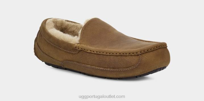 bronzeado couro ascot fosco UGG 20TJ1504 homens