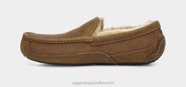 bronzeado couro ascot fosco UGG 20TJ1504 homens