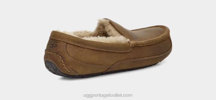 bronzeado couro ascot fosco UGG 20TJ1504 homens