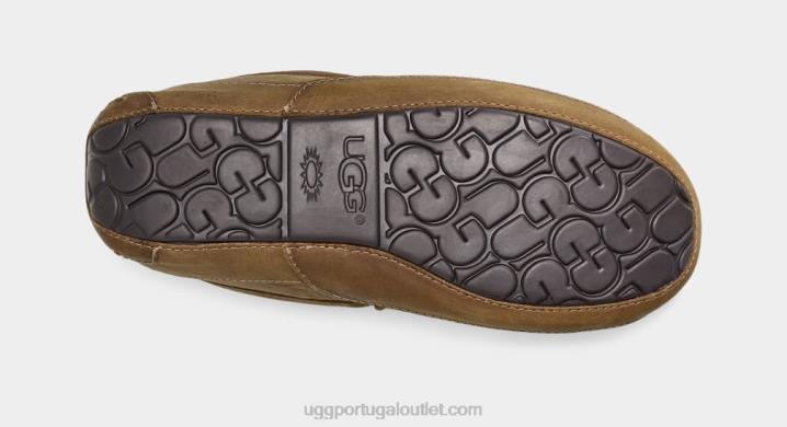 bronzeado couro ascot fosco UGG 20TJ1504 homens