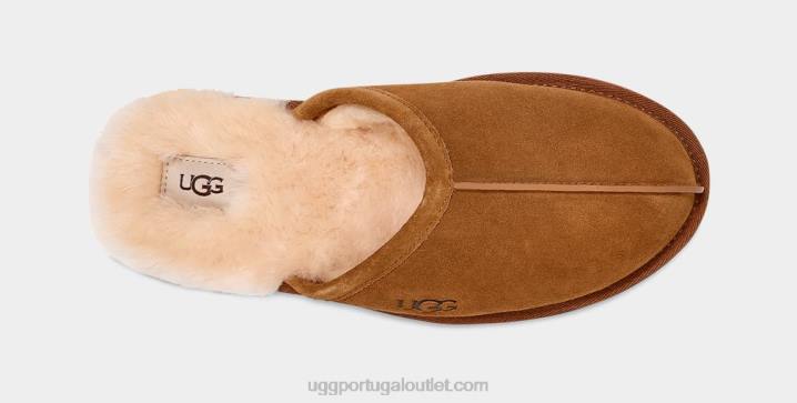 castanha arranhar UGG 20TJ1426 homens
