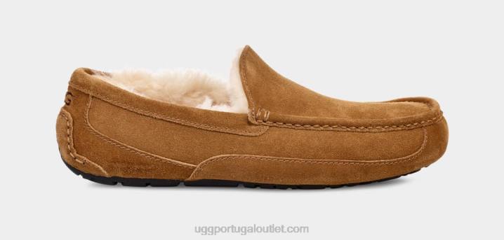 castanha chinelo ascot UGG 20TJ1421 homens