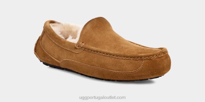 castanha chinelo ascot UGG 20TJ1421 homens
