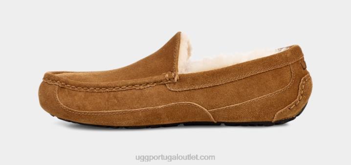 castanha chinelo ascot UGG 20TJ1421 homens