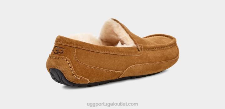 castanha chinelo ascot UGG 20TJ1421 homens