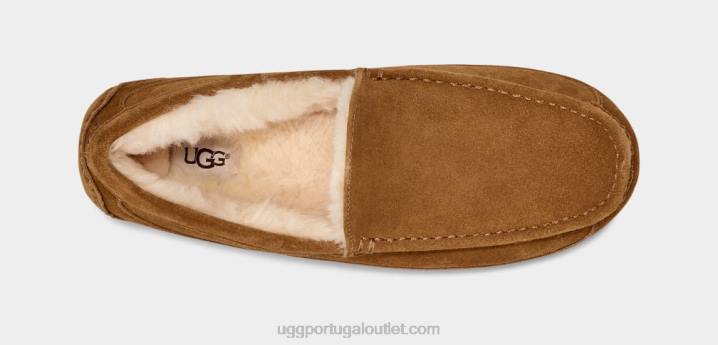 castanha chinelo ascot UGG 20TJ1421 homens
