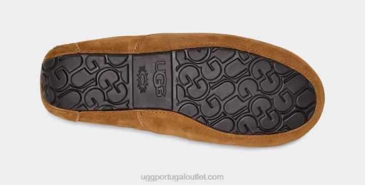 castanha chinelo ascot UGG 20TJ1421 homens