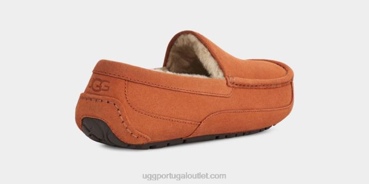 madeira serrada chinelo ascot UGG 20TJ1651 homens