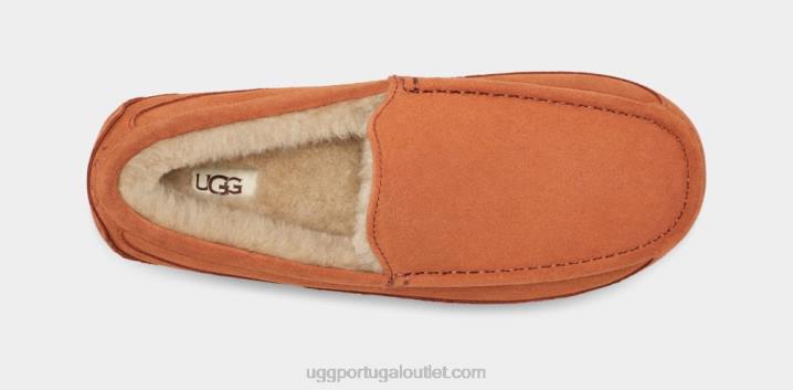 madeira serrada chinelo ascot UGG 20TJ1651 homens