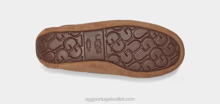castanha dakota UGG 20TJ458 mulheres