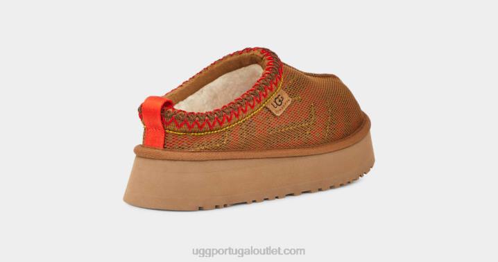 castanha tazz maxi tasman UGG 20TJ689 mulheres