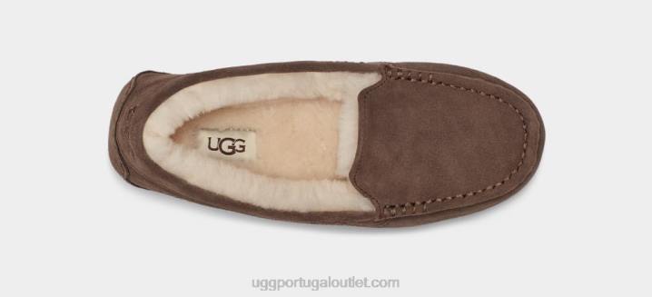 expresso Ansley UGG 20TJ374 mulheres