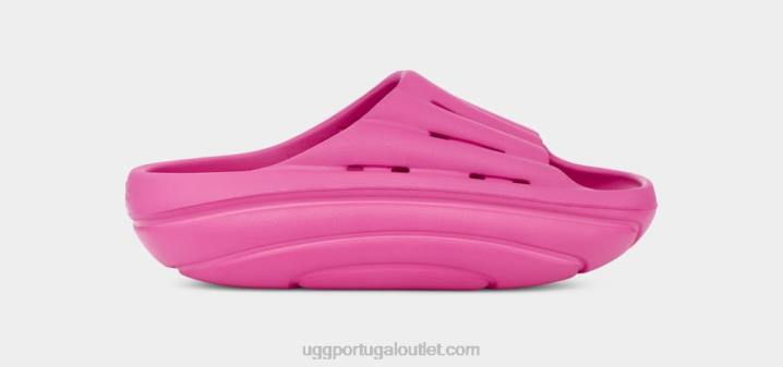 fruta do dragão slide de espuma UGG 20TJ375 mulheres